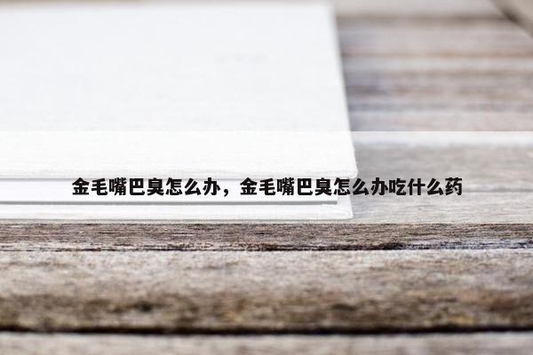 金毛嘴巴臭怎么办，金毛嘴巴臭怎么办吃什么药