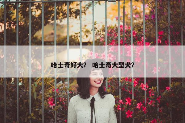哈士奇好大？ 哈士奇大型犬？