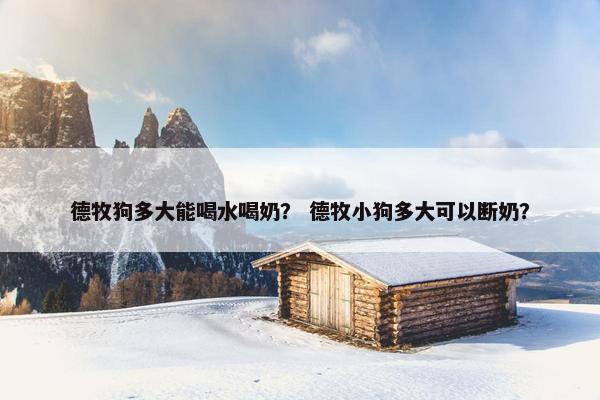 德牧狗多大能喝水喝奶？ 德牧小狗多大可以断奶？