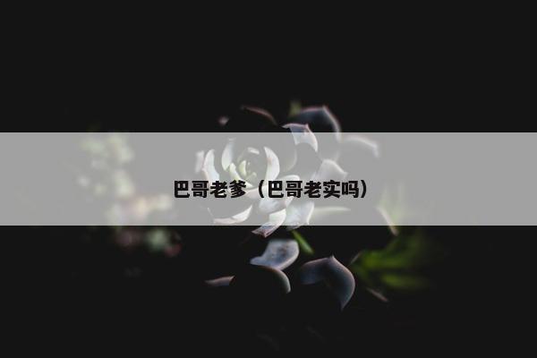 巴哥老爹（巴哥老实吗）