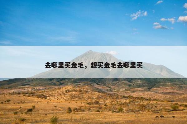 去哪里买金毛，想买金毛去哪里买