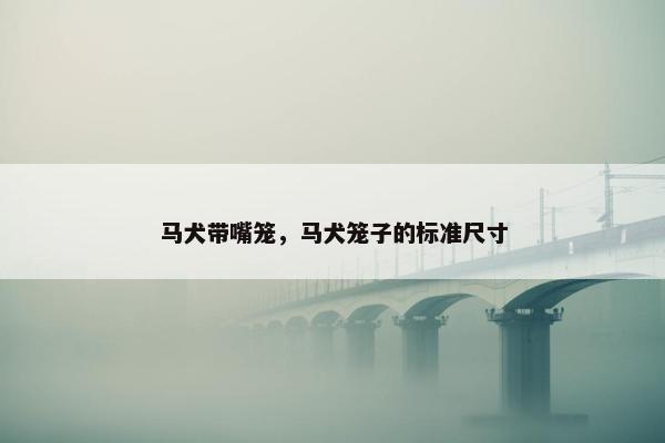 马犬带嘴笼，马犬笼子的标准尺寸