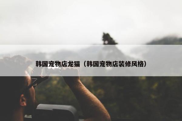 韩国宠物店龙猫（韩国宠物店装修风格）