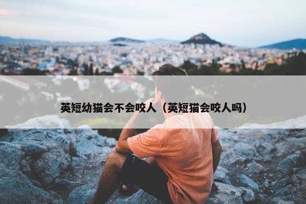 英短幼猫会不会咬人（英短猫会咬人吗）