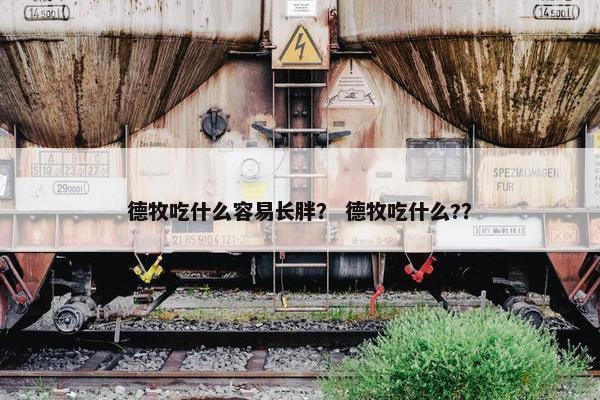 德牧吃什么容易长胖？ 德牧吃什么?？