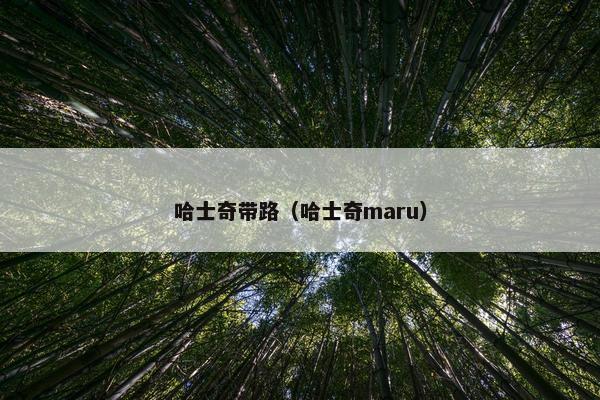哈士奇带路（哈士奇maru）