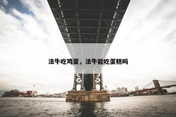 法牛吃鸡蛋，法牛能吃蛋糕吗