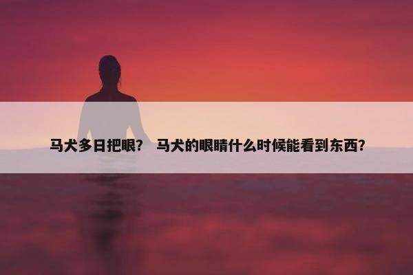 马犬多日把眼？ 马犬的眼睛什么时候能看到东西？