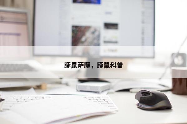 豚鼠萨摩，豚鼠科普