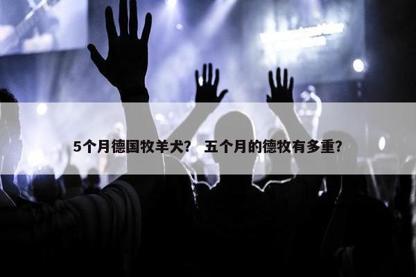 5个月德国牧羊犬？ 五个月的德牧有多重？