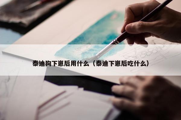 泰迪狗下崽后用什么（泰迪下崽后吃什么）