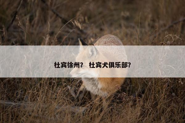 杜宾徐州？ 杜宾犬俱乐部？