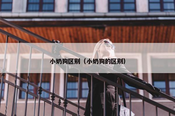 小奶狗区别（小奶狗的区别）
