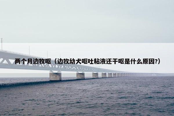 两个月边牧呕（边牧幼犬呕吐粘液还干呕是什么原因?）