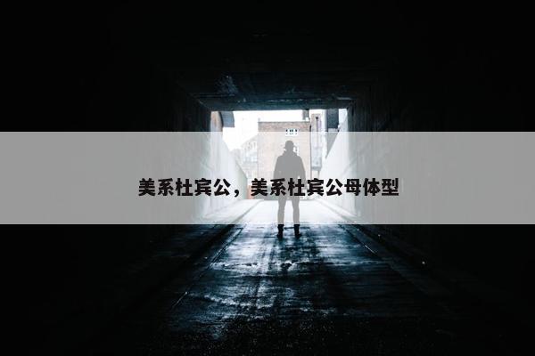 美系杜宾公，美系杜宾公母体型