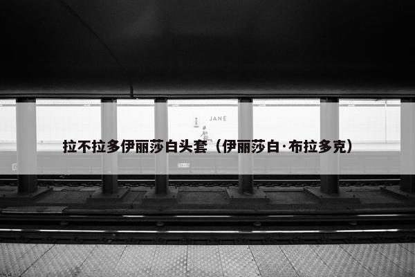 拉不拉多伊丽莎白头套（伊丽莎白·布拉多克）