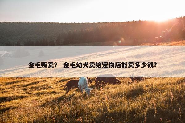金毛贩卖？ 金毛幼犬卖给宠物店能卖多少钱？
