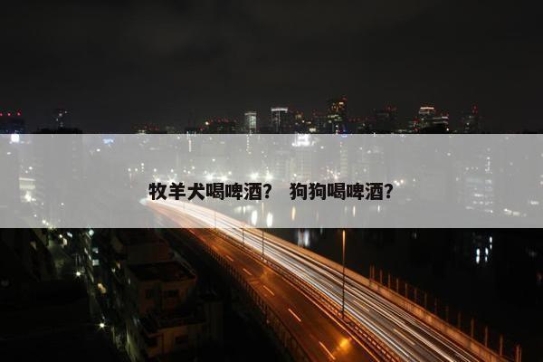 牧羊犬喝啤酒？ 狗狗喝啤酒？