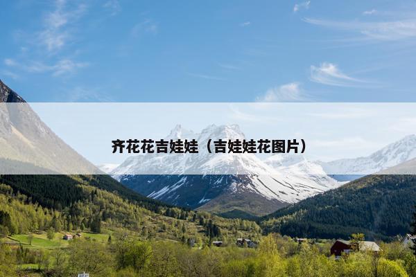 齐花花吉娃娃（吉娃娃花图片）