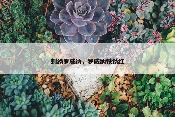 刺绣罗威纳，罗威纳铁锈红