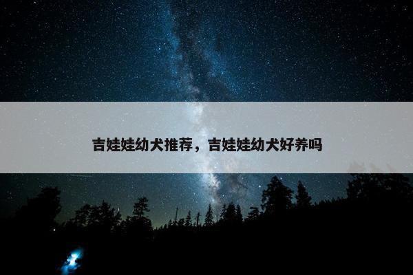 吉娃娃幼犬推荐，吉娃娃幼犬好养吗