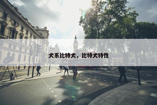 犬系比特犬，比特犬特性