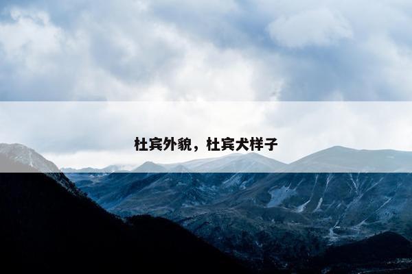 杜宾外貌，杜宾犬样子