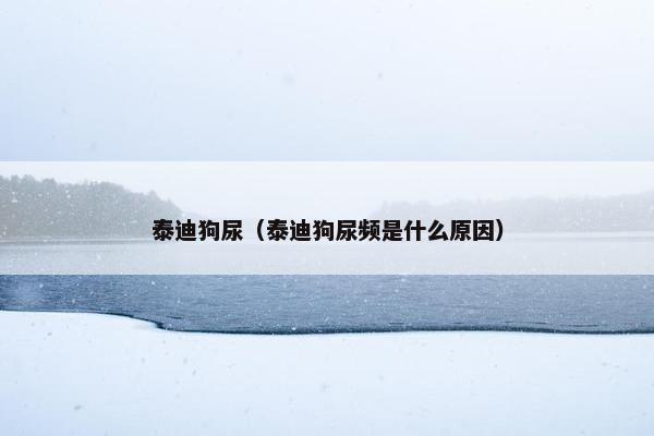 泰迪狗尿（泰迪狗尿频是什么原因）