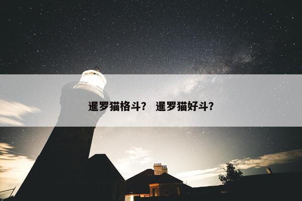 暹罗猫格斗？ 暹罗猫好斗？