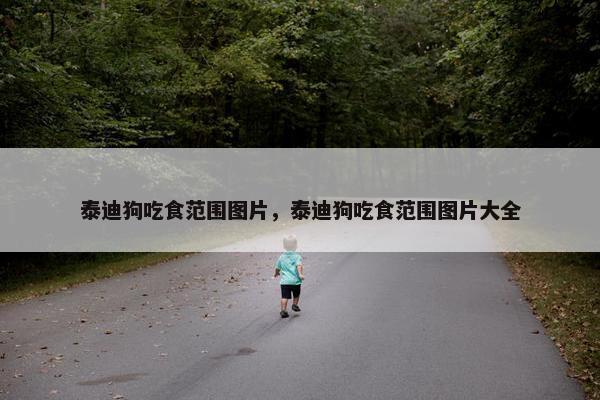 泰迪狗吃食范围图片，泰迪狗吃食范围图片大全