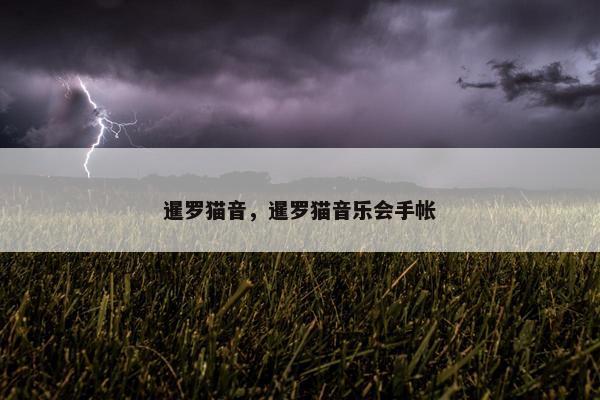 暹罗猫音，暹罗猫音乐会手帐