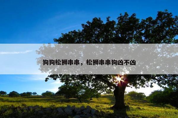 狗狗松狮串串，松狮串串狗凶不凶
