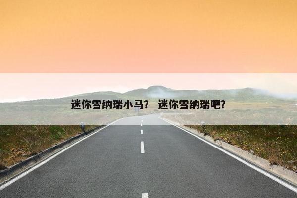 迷你雪纳瑞小马？ 迷你雪纳瑞吧？