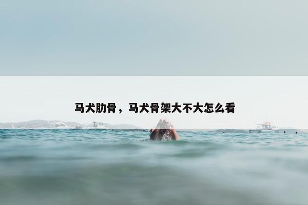 马犬肋骨，马犬骨架大不大怎么看