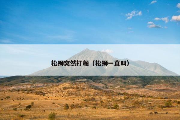 松狮突然打颤（松狮一直叫）