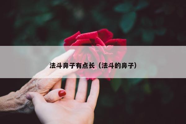 法斗鼻子有点长（法斗的鼻子）