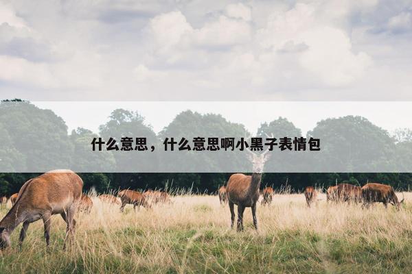 什么意思，什么意思啊小黑子表情包