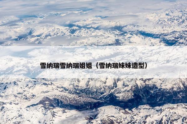雪纳瑞雪纳瑞姐姐（雪纳瑞妹妹造型）