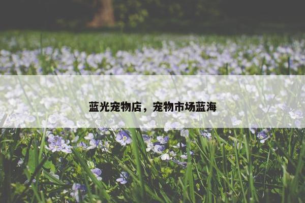 蓝光宠物店，宠物市场蓝海