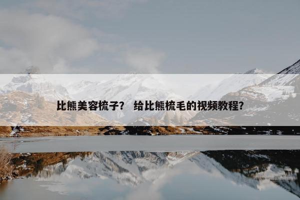 比熊美容梳子？ 给比熊梳毛的视频教程？