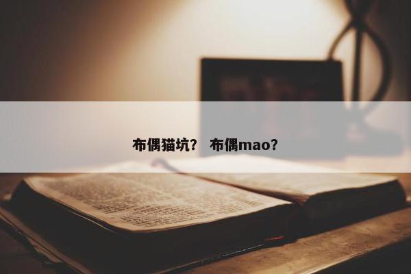 布偶猫坑？ 布偶mao？