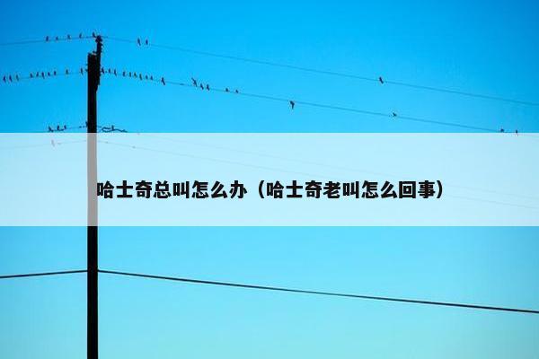 哈士奇总叫怎么办（哈士奇老叫怎么回事）