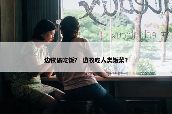 边牧偷吃饭？ 边牧吃人类饭菜？