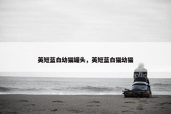 英短蓝白幼猫罐头，英短蓝白猫幼猫
