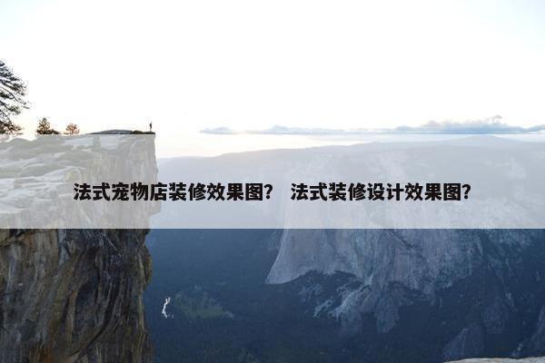 法式宠物店装修效果图？ 法式装修设计效果图？