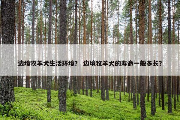 边境牧羊犬生活环境？ 边境牧羊犬的寿命一般多长？