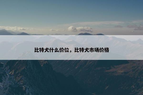比特犬什么价位，比特犬市场价格