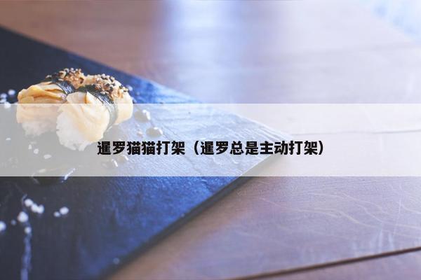 暹罗猫猫打架（暹罗总是主动打架）
