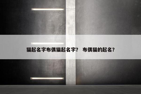 猫起名字布偶猫起名字？ 布偶猫的起名？