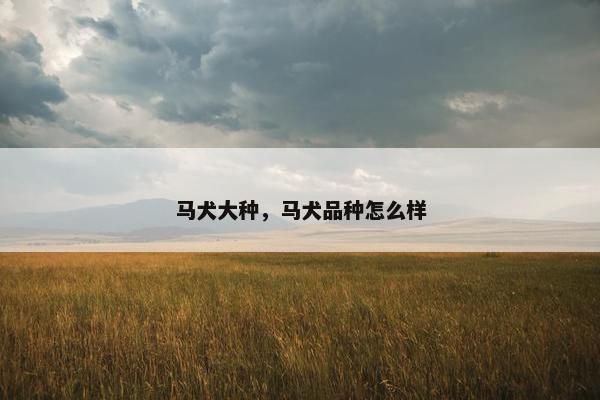 马犬大种，马犬品种怎么样